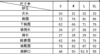 Push Up For Beach Swim Wear Two-Piece Bathing Suit